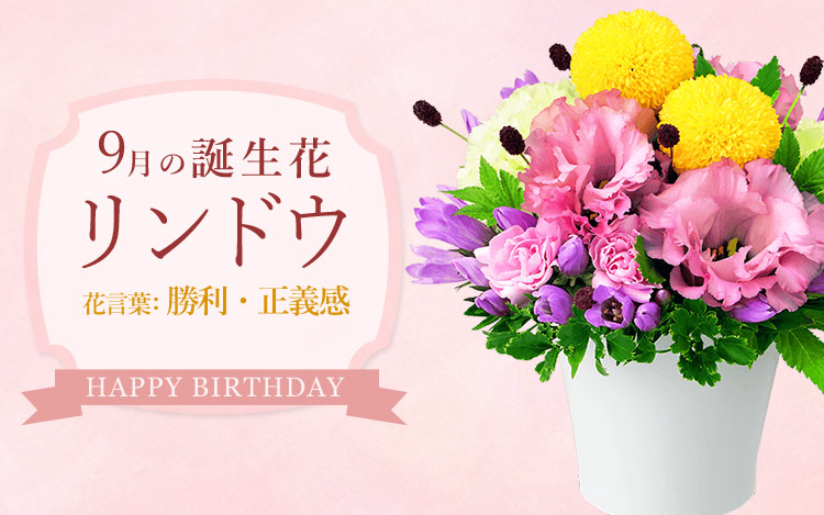 はな✴︎発送は6/1（月）になります✴︎ 花キューピット - 花キューピット updated their cover photo.