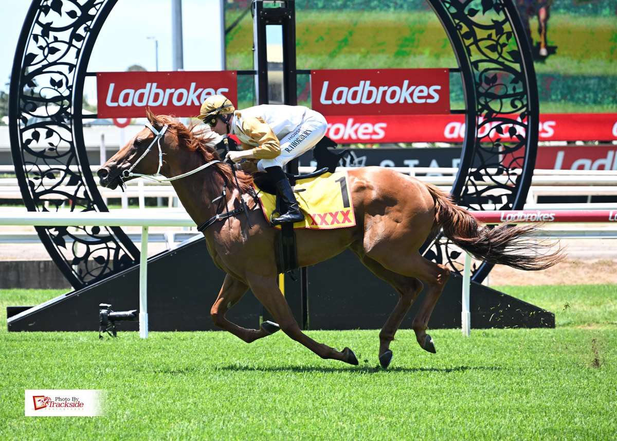 Currie Racing | Toowoomba QLD
