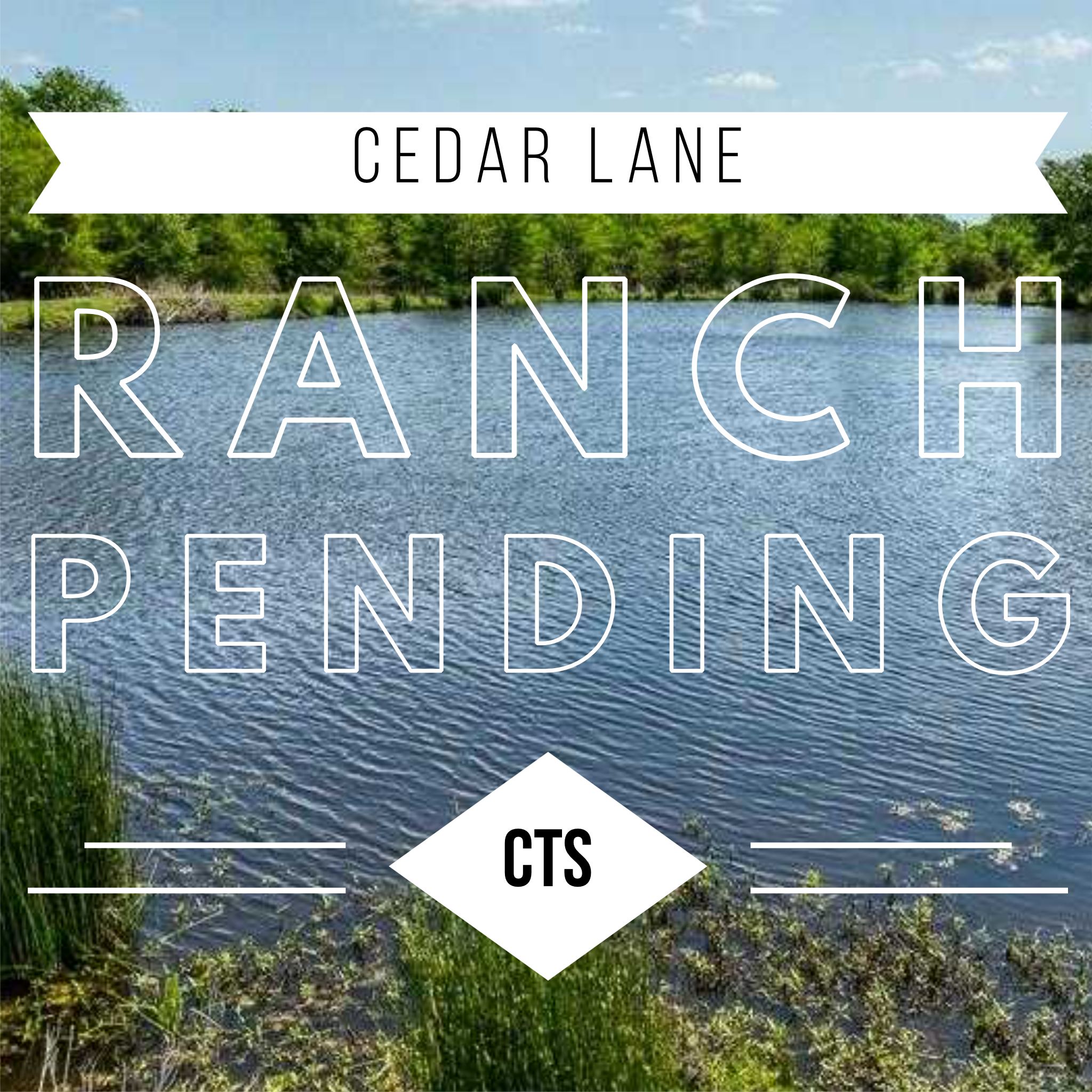 Did you see that Cedar... - Lone Star Ranch and Home Group