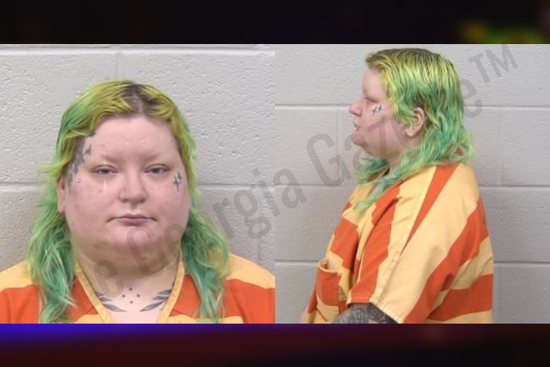 Allyson Rakestraw:... - Paulding County Crime | Facebook