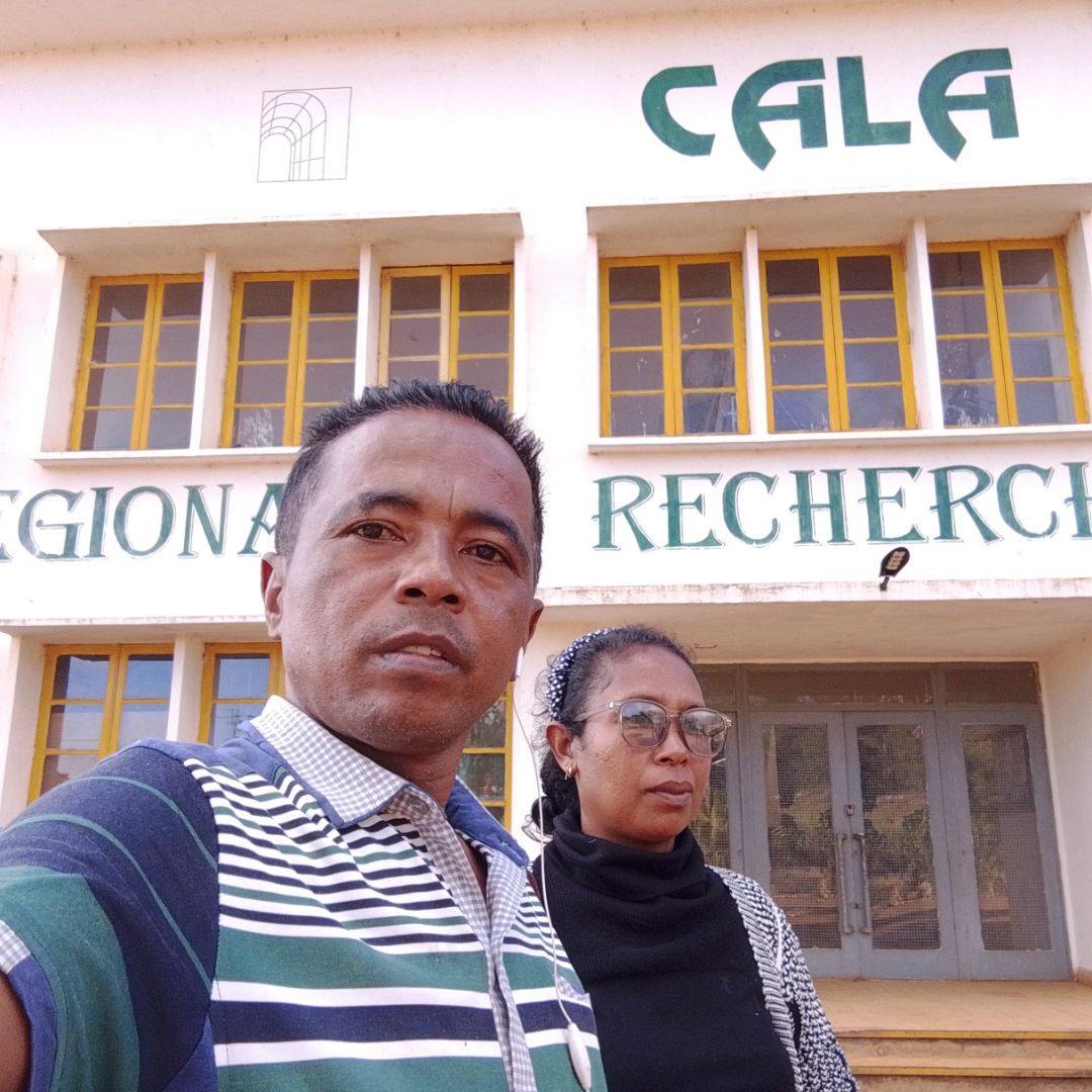Arakanay ne zio, zahay marary fa tsy miteny Hanao concours, na ...