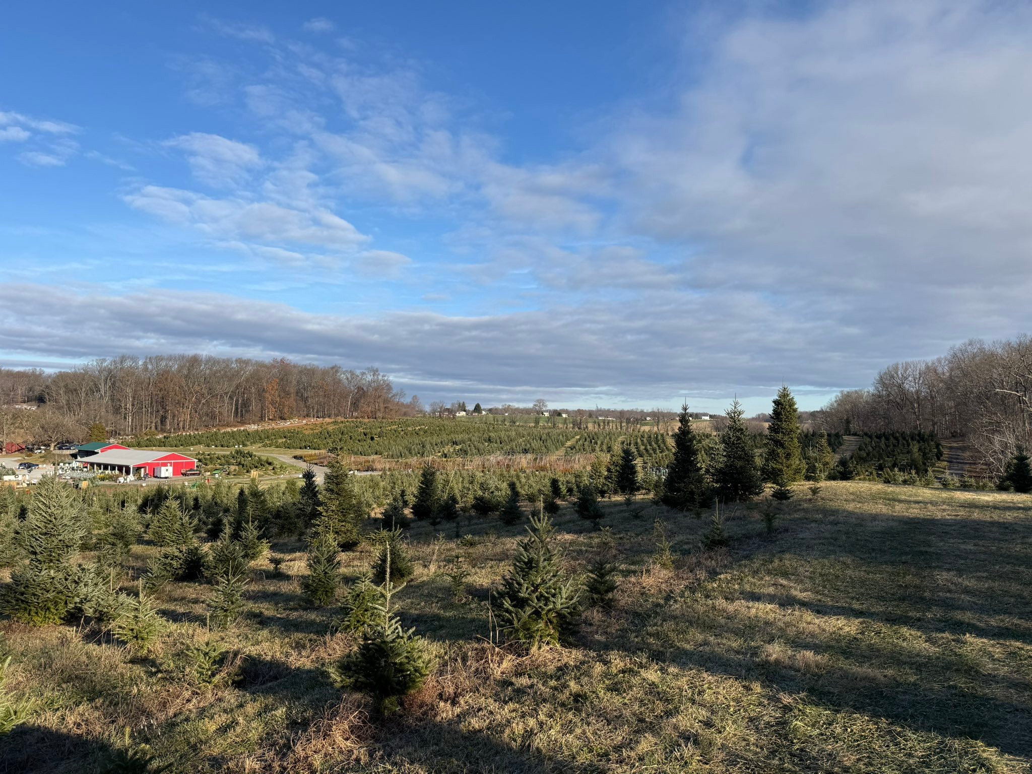 Davidson Christmas Tree Farm | Upperco MD