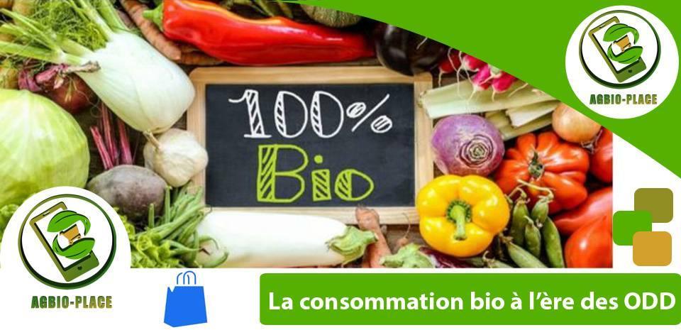 AgBio-Place | Brazzaville