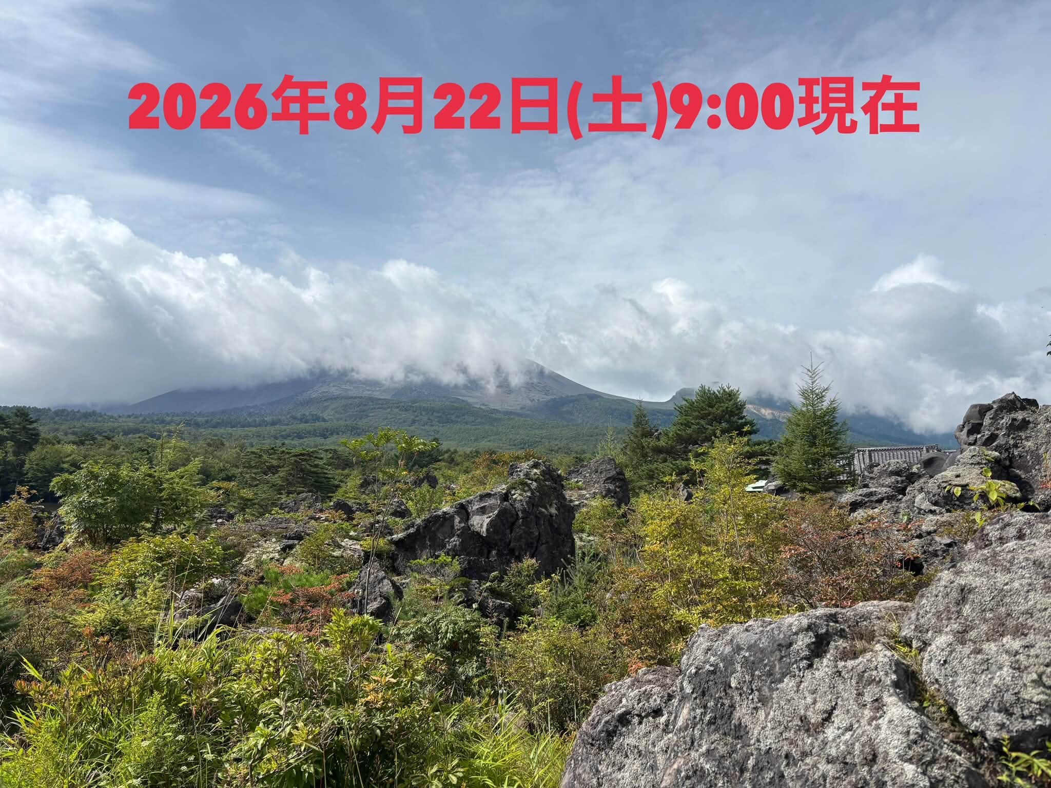 鬼 押出し 園