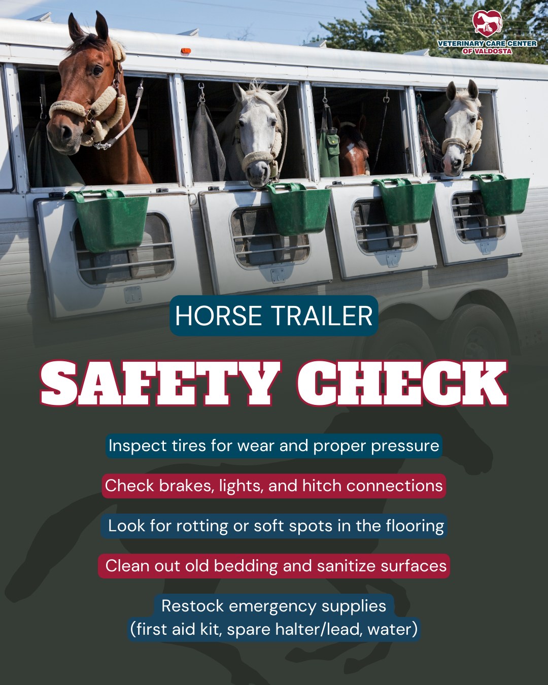 Veterinary - Before you load up for summer rides or shows, give your ...