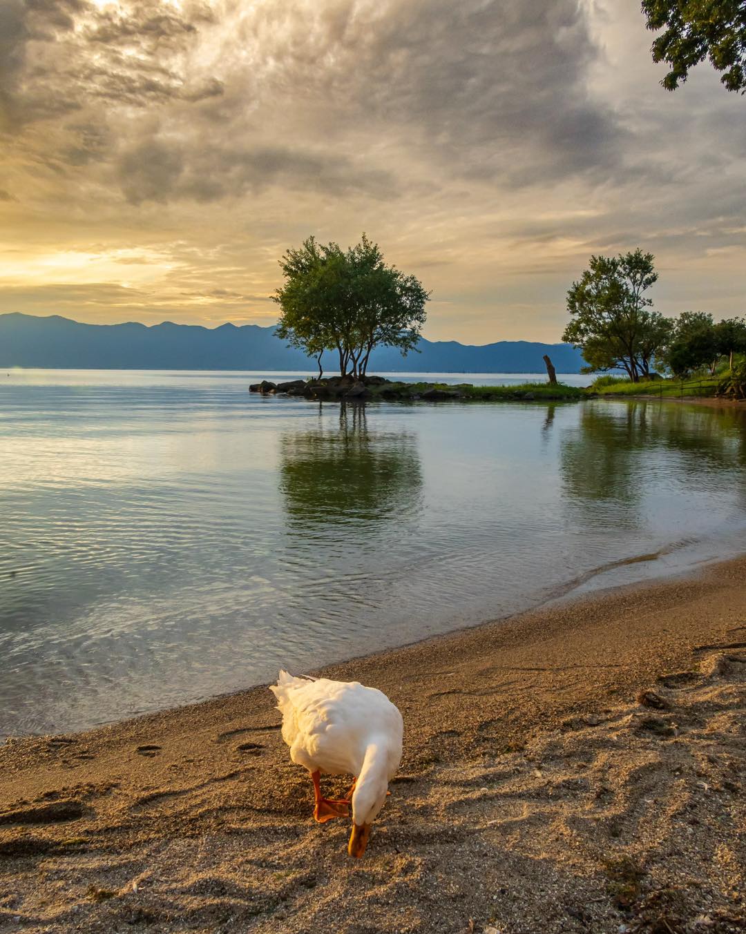 涼を探して Photo by @cameragram1481 Location：河内の風穴（滋賀県犬