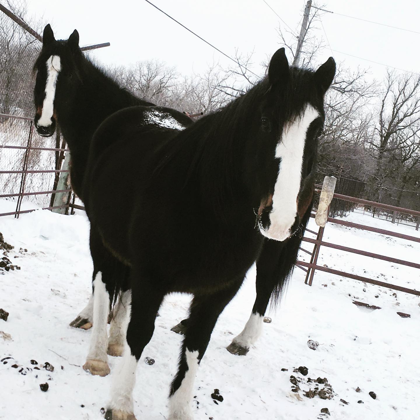 Miracle Ranch - We’re excited to announce our new driving...