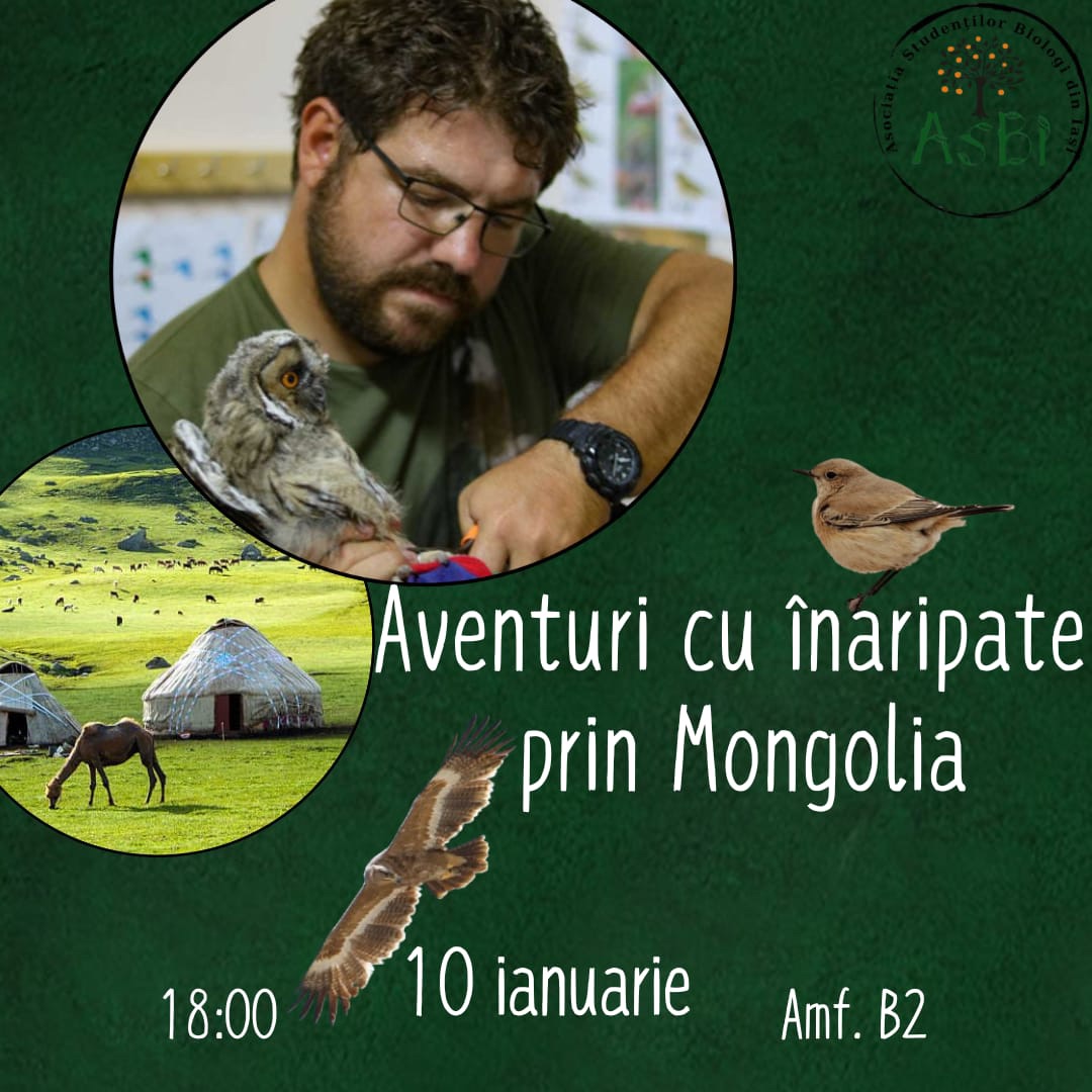 Aventuri cu înaripate prin Mongolia