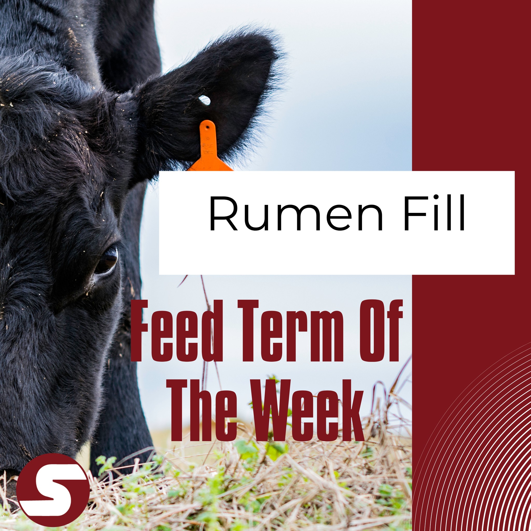 Suther - Feed Term of the Week: Rumen Fill Rumen fill is a measure of ...