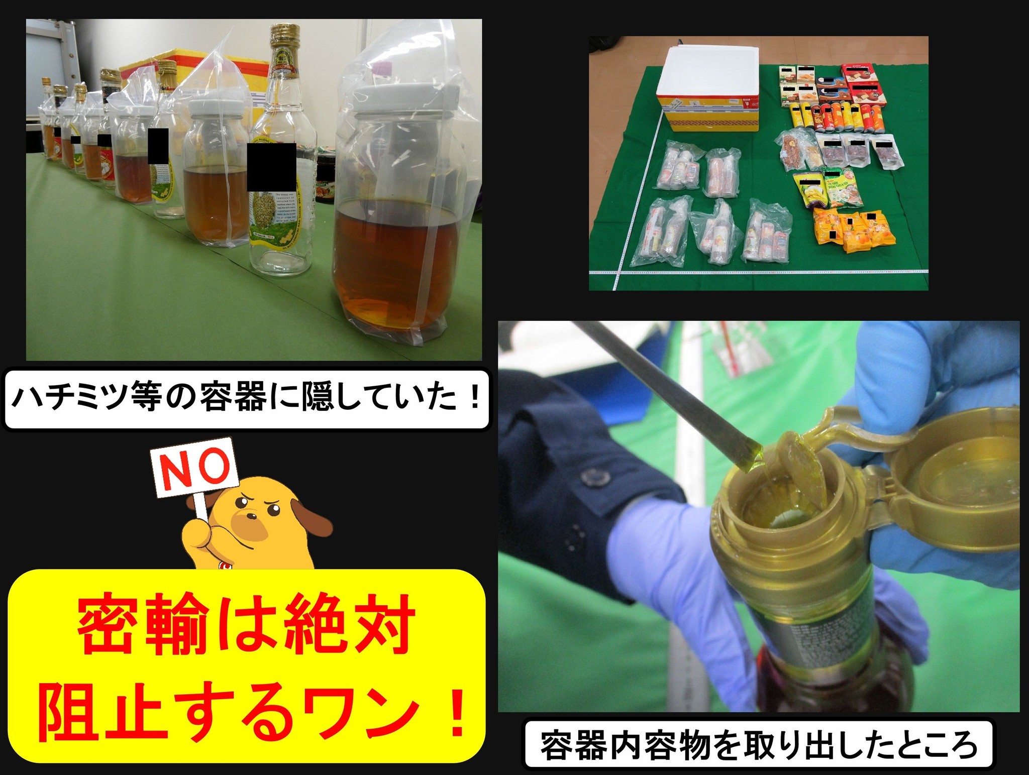 活動歴および当時の関連ビジュアル記録