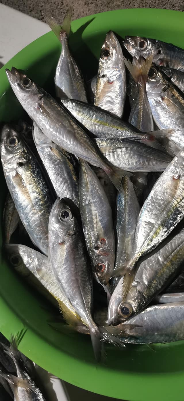 Love Us Seafood Store - Home