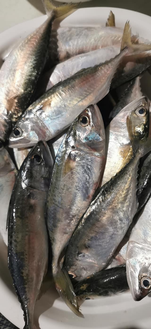 Love Us Seafood Store - Home