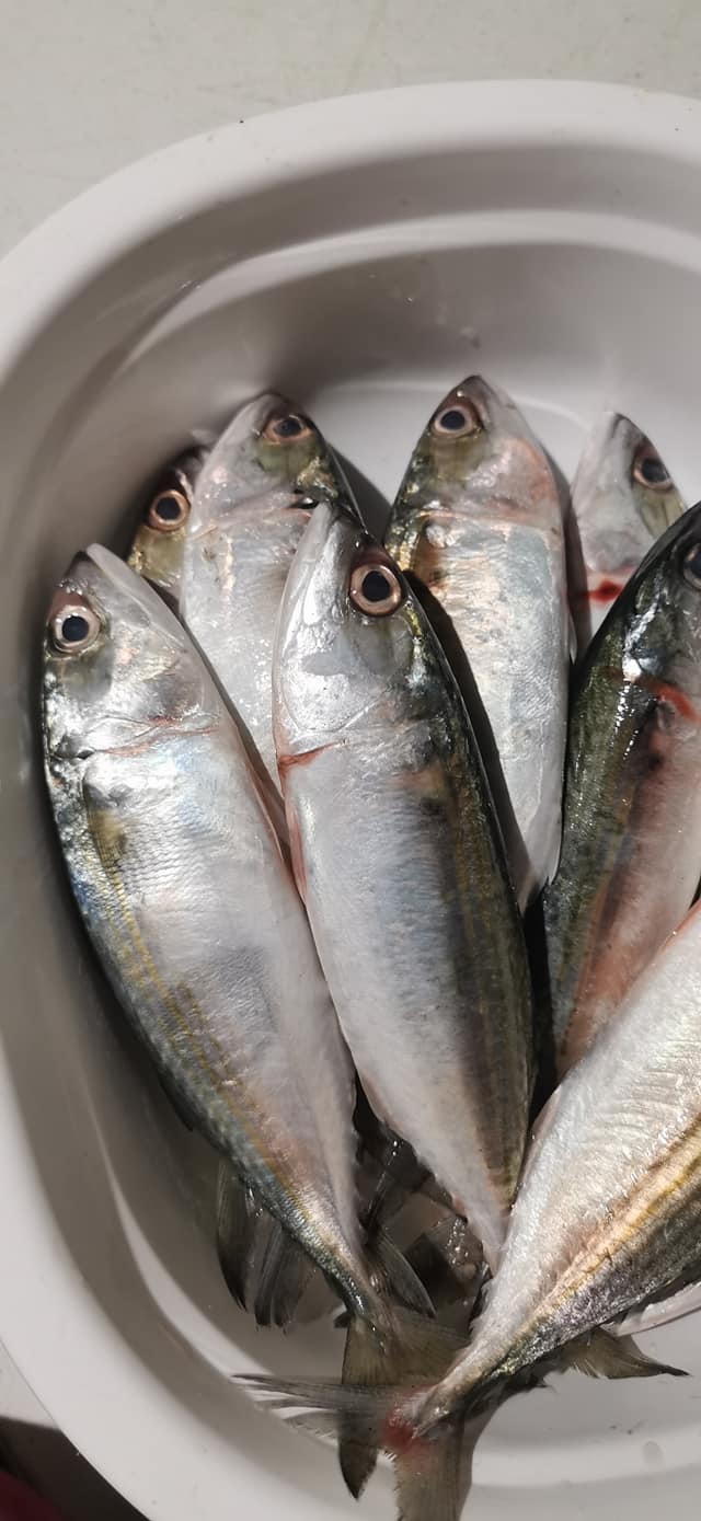 Love Us Seafood Store - Home
