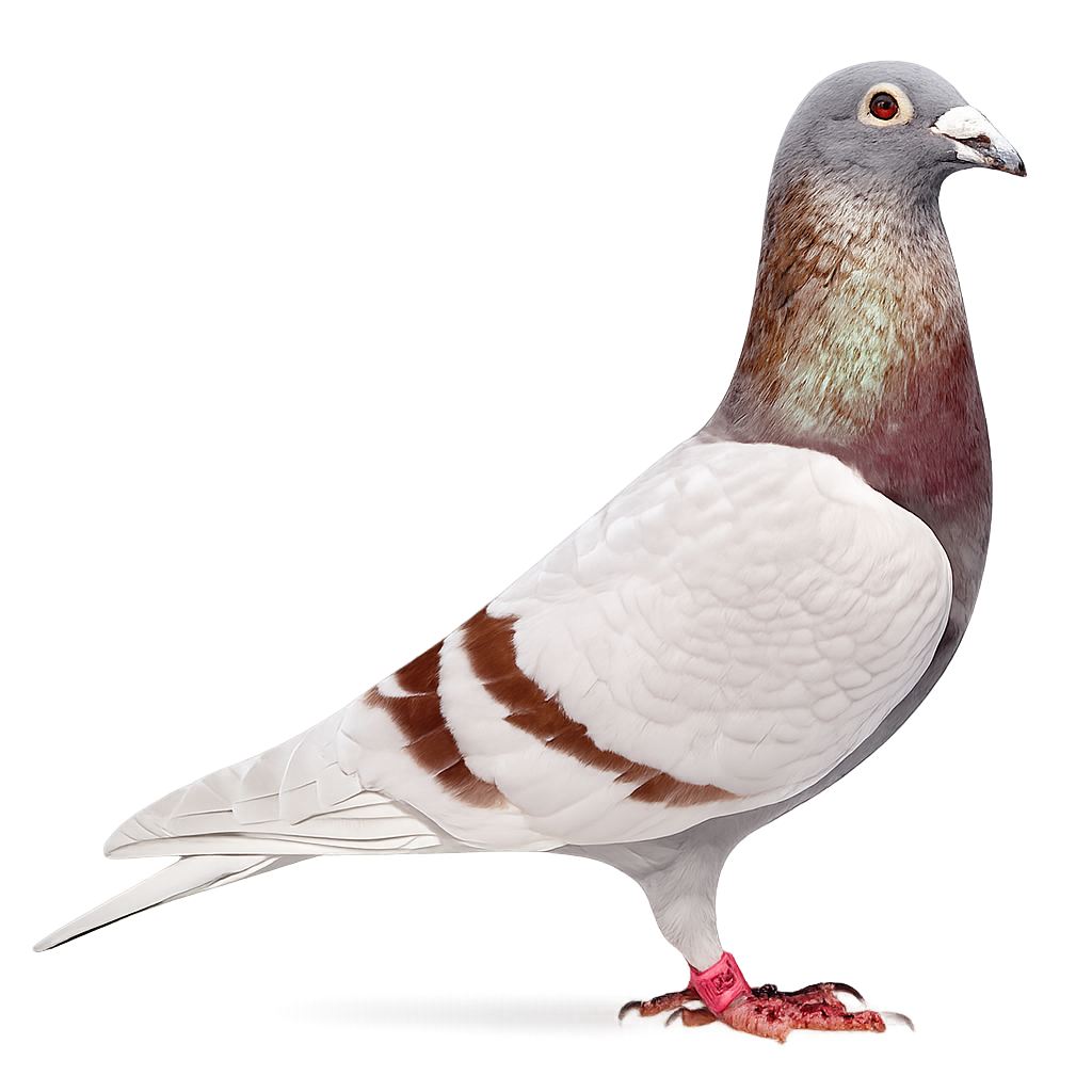 ?media_id=1512961767200252