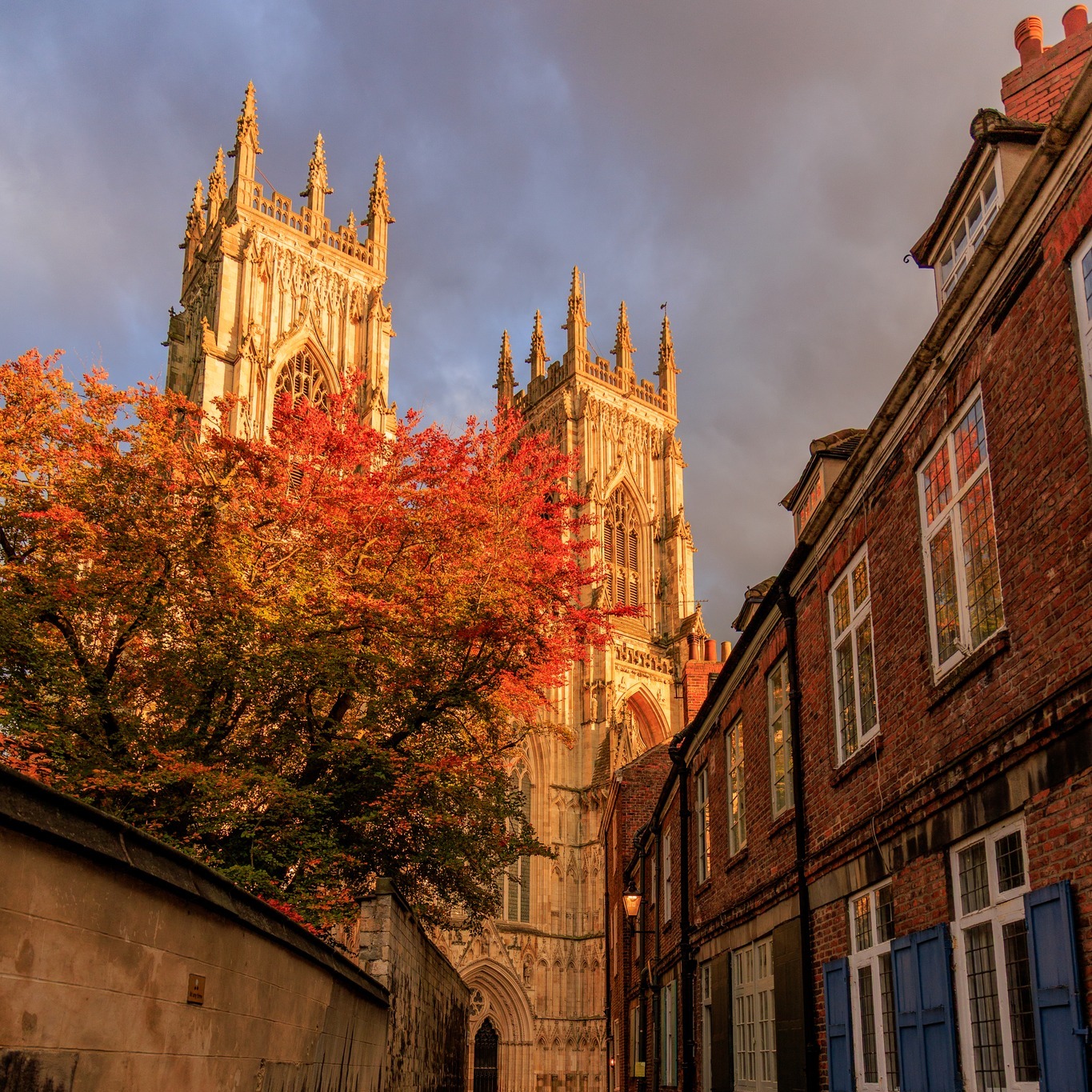 Did you know? The Rose Window isn't just a window, it’s a living ...