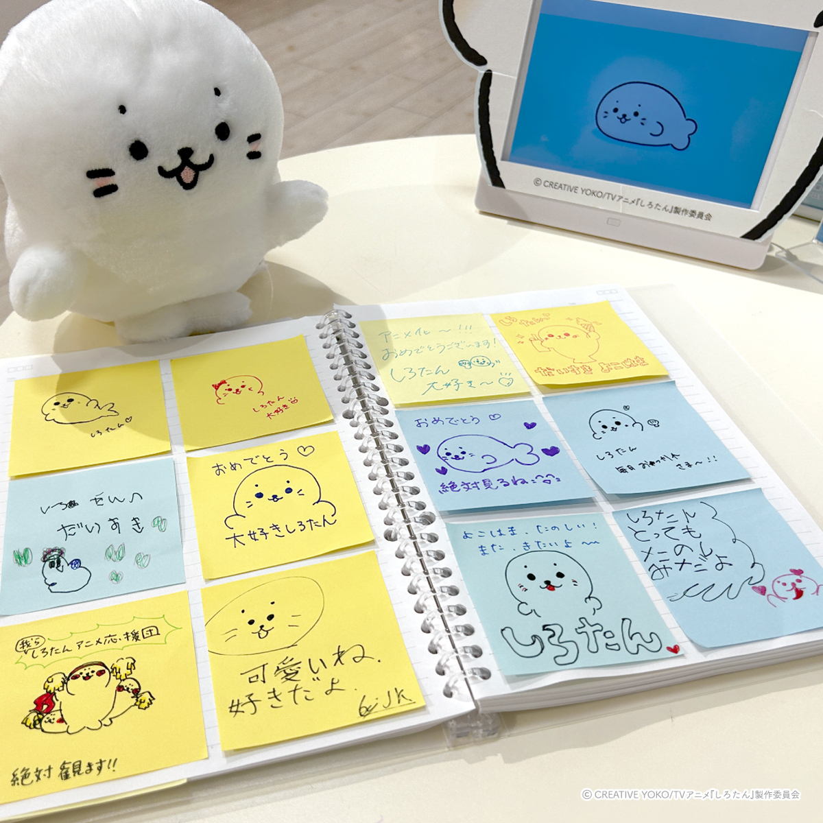 しろたん　くじ　百たん夜行　ぬいぐるみ　マスコット 🏮明後日22(金)スタート！しろたん ぬいぐるみ 百たん夜行くじ🏮 各賞