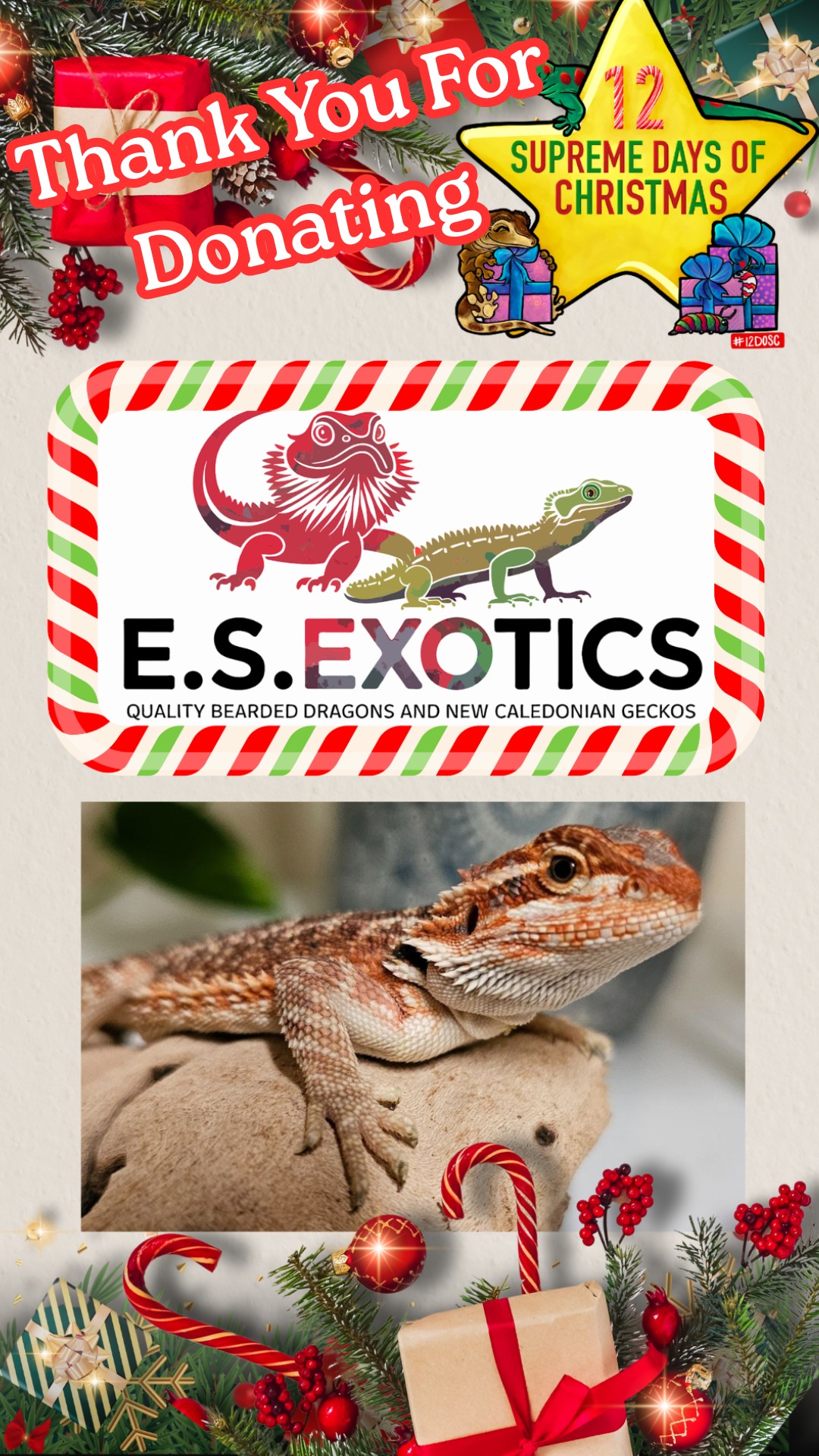 Supreme Gecko - Supreme Gecko added a new photo.