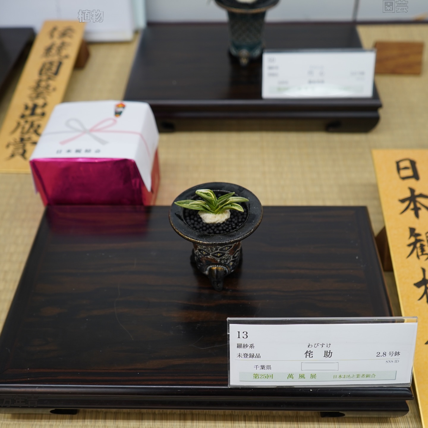 田哲園（たてつえん） | Nagano-shi Nagano