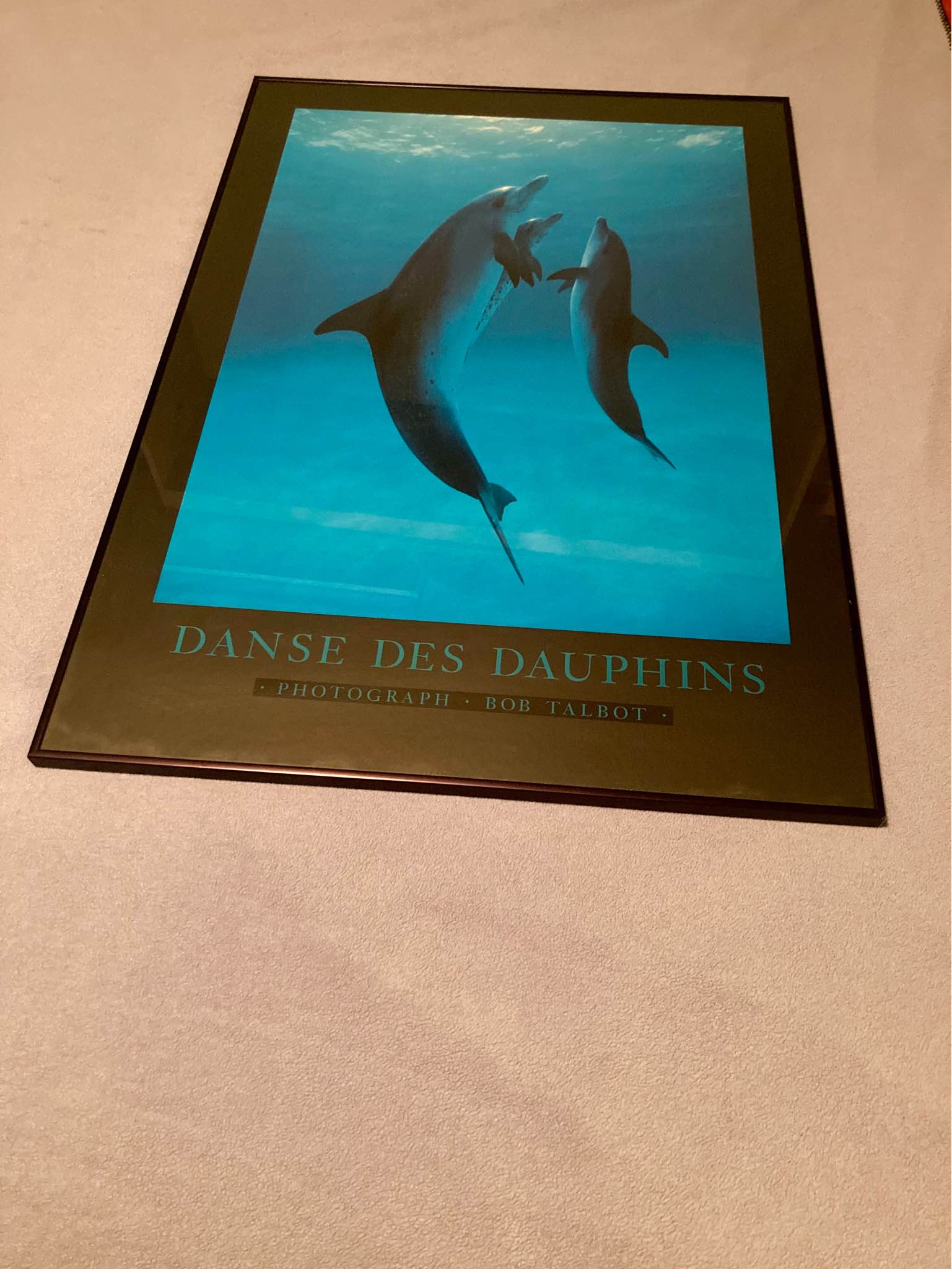 Original Bob Talbot framed photographic poster “Danse Des Dauphins