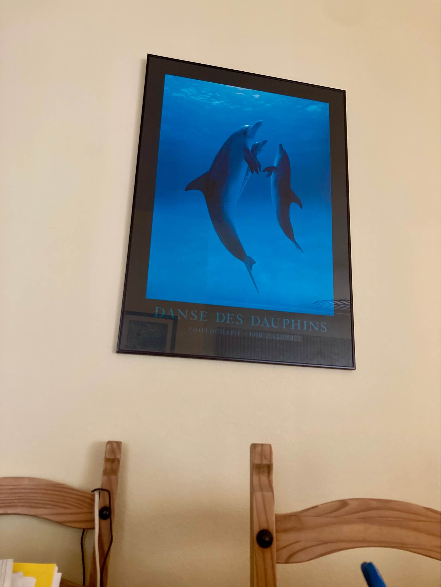 Original Bob Talbot framed photographic poster “Danse Des Dauphins