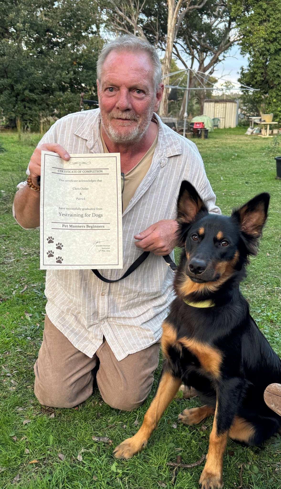 Yestraining for Dogs | Invergowrie NSW