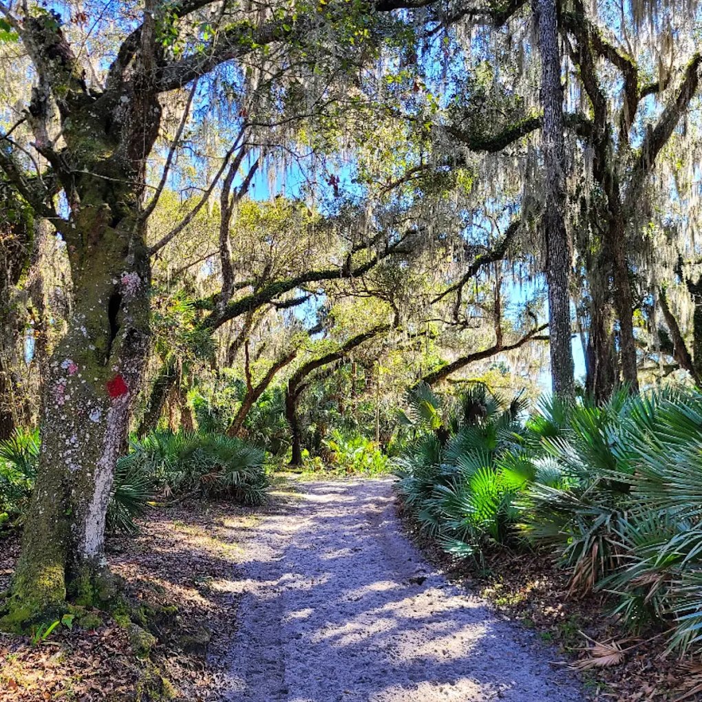 🌳 Beck Ranch Park... - Fun 4 Daytona Kids | Facebook