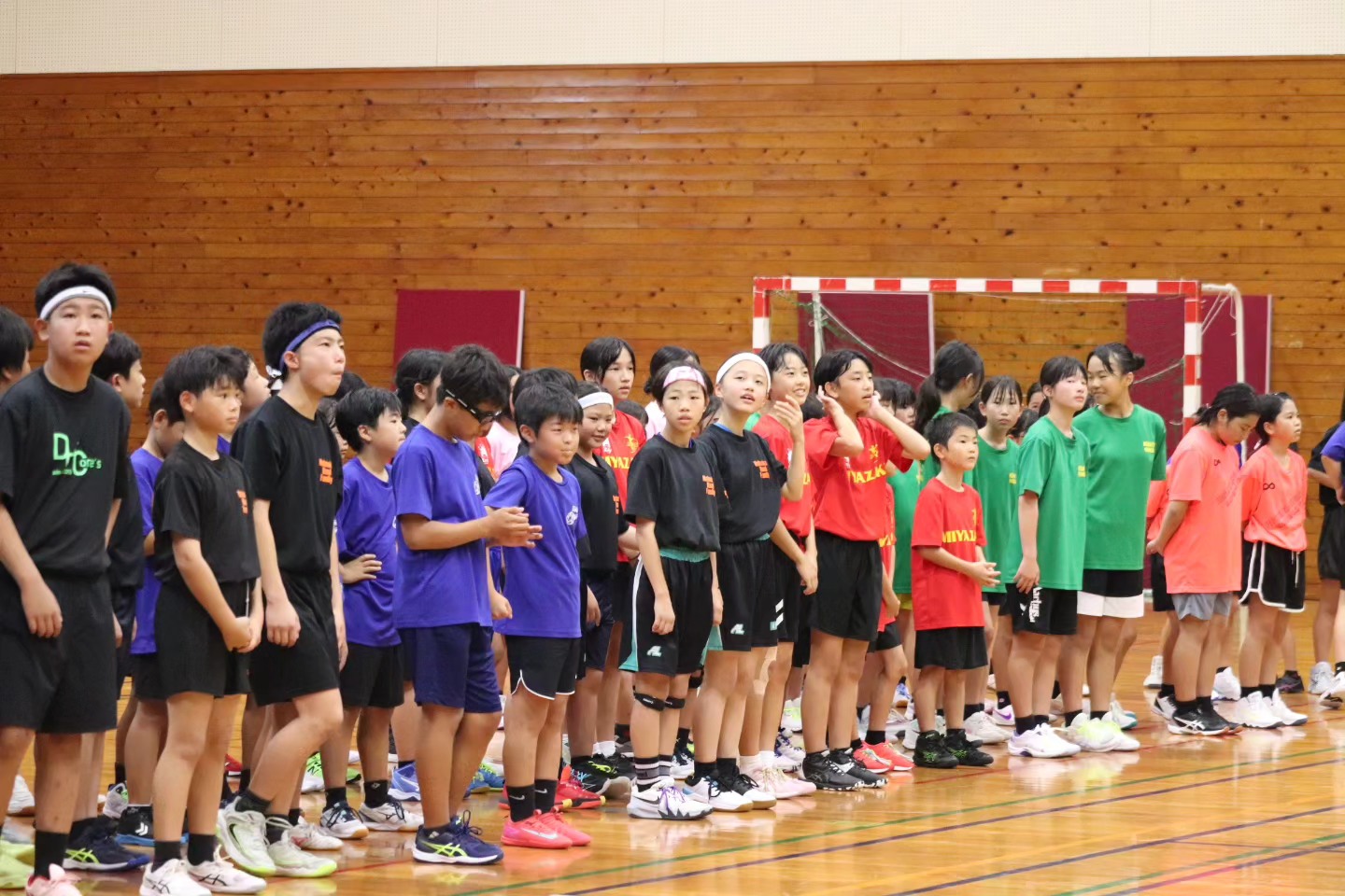 宮崎 県 ハンドボール 協会