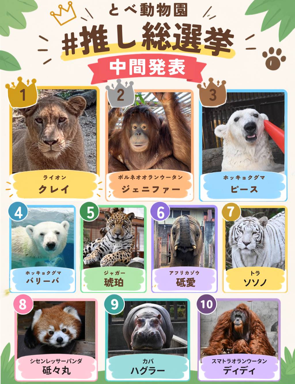 ホッキョクグマ の #ピース が25歳になることを記念して #ピース缶