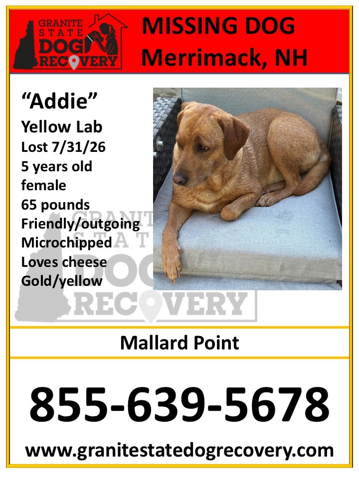 Granite - Missing 8-2-26: Valley Park Dr Spofford, NH. 
