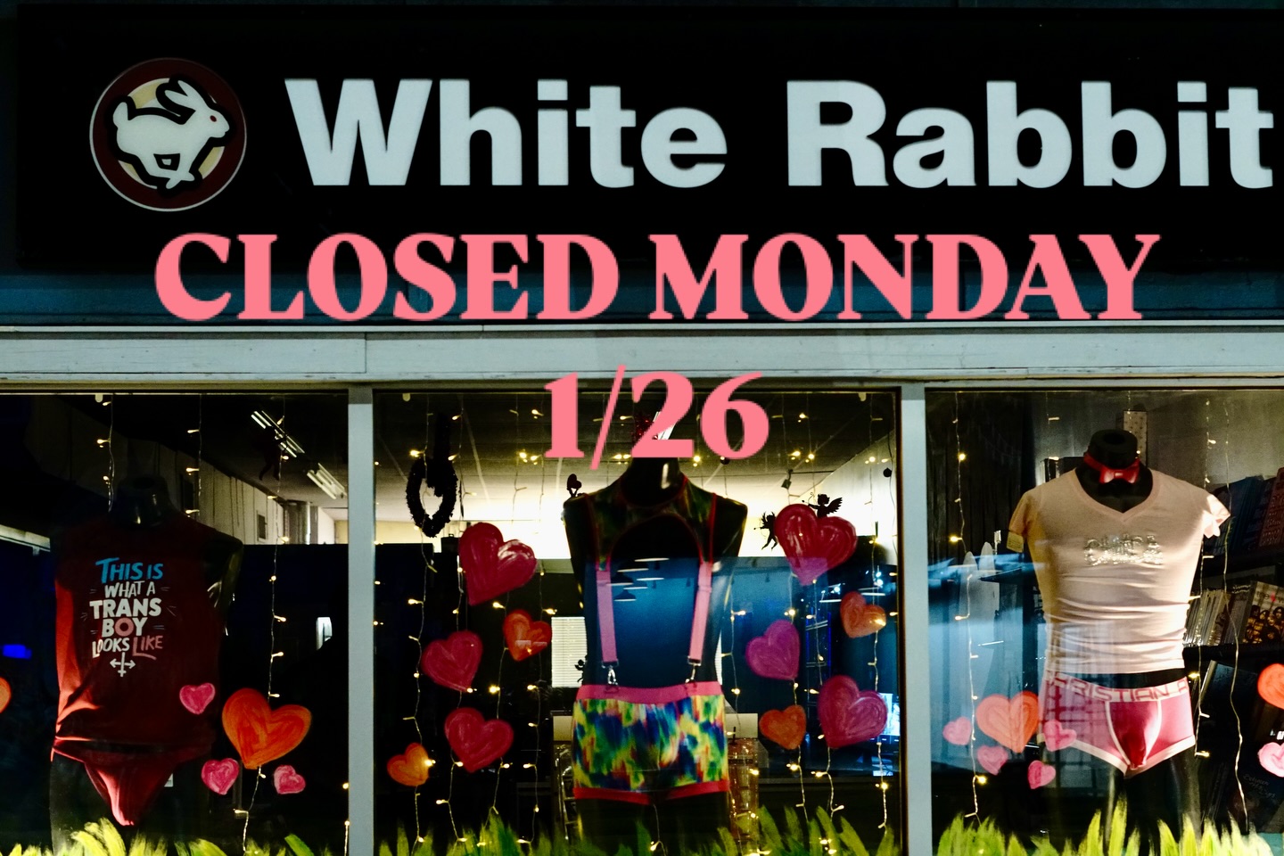 White Rabbit | Charlotte NC