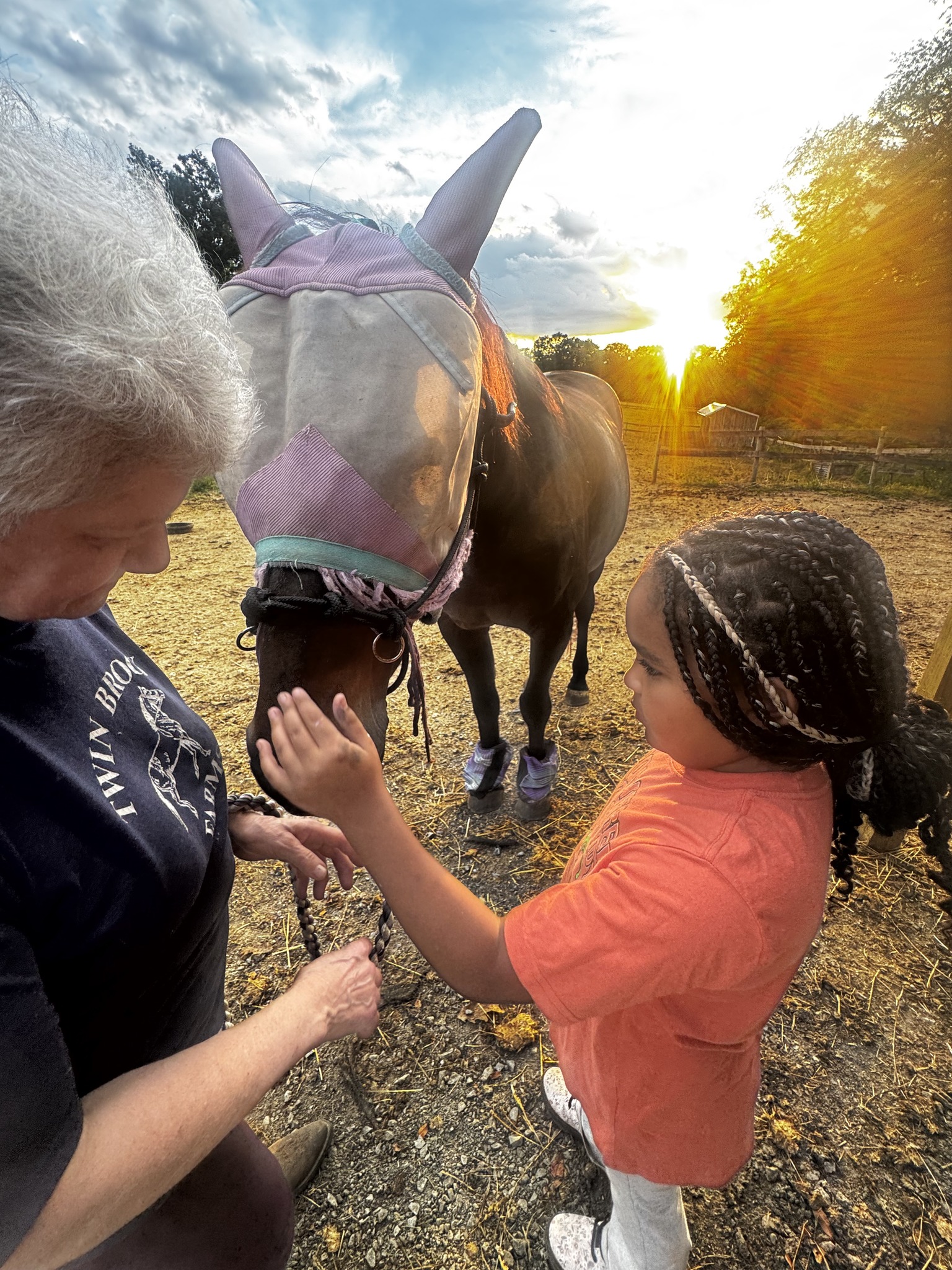 Introduction to Animal Communication
