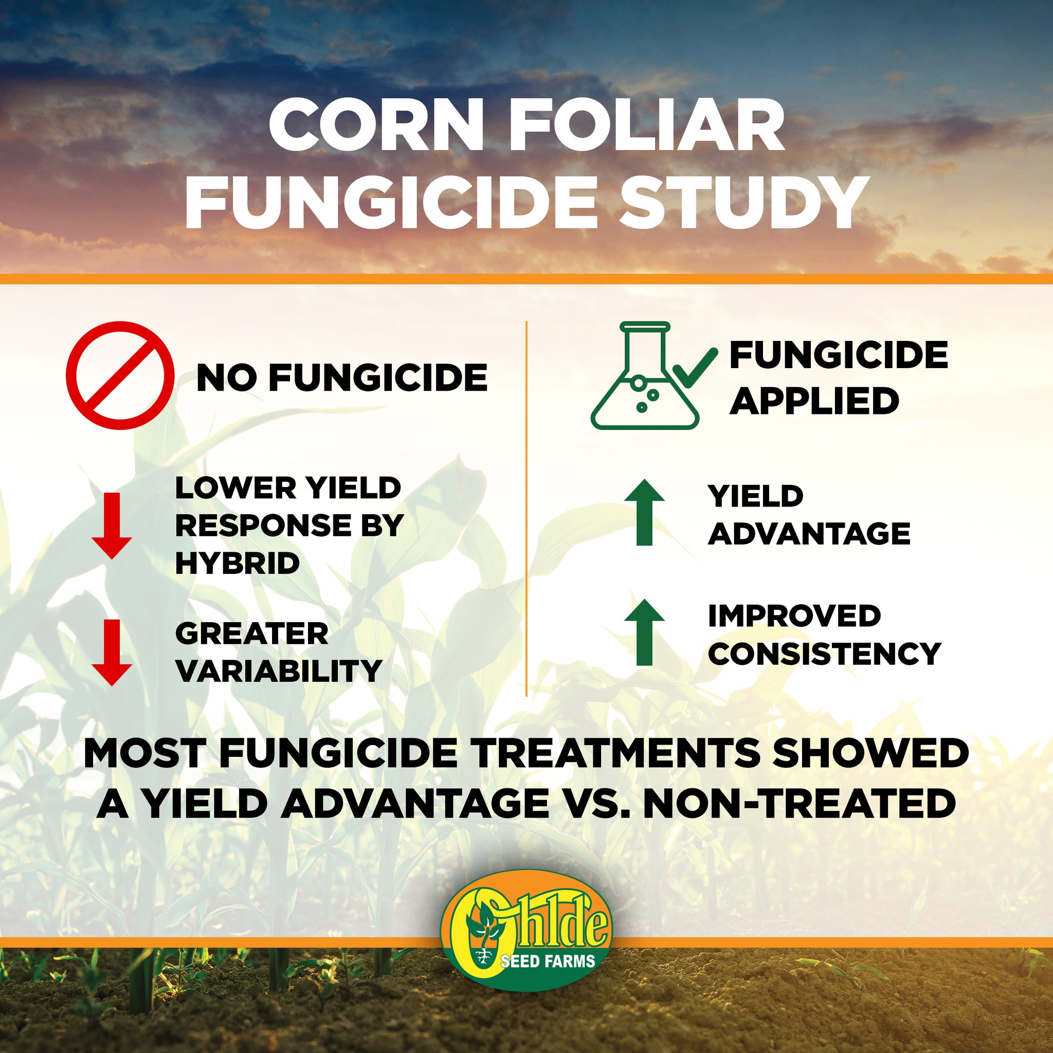 Ohlde Seed Farm - 🌽 Corn Foliar Fungicide Study Our 2025... | Facebook
