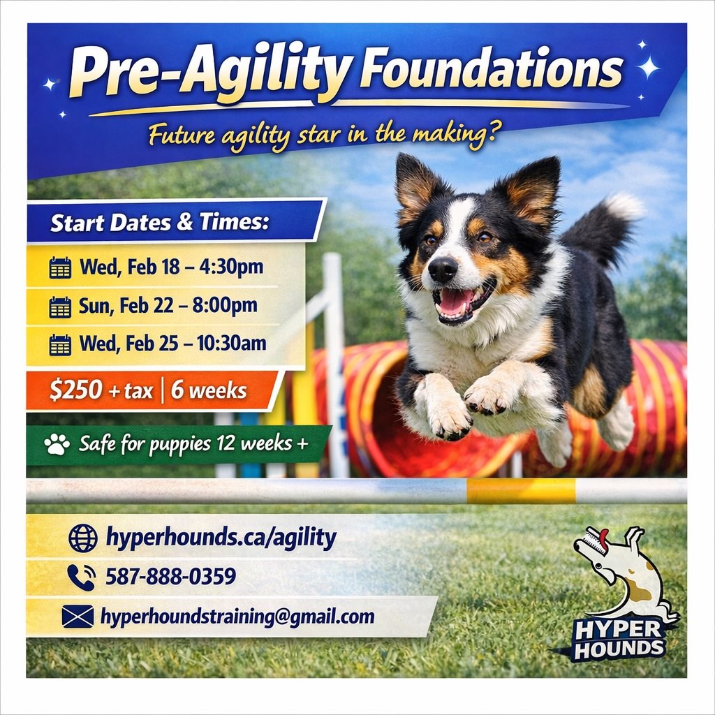 Hyper Hounds Dog Training... - Hyper Hounds Dog Training