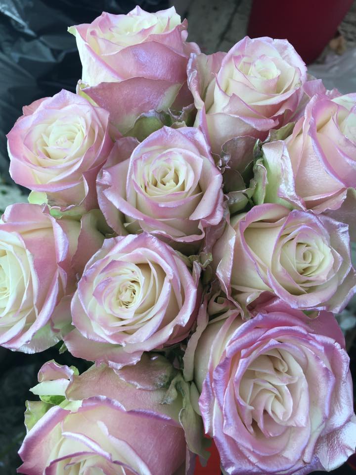 🌹🌹NEW IN STOCK 🌹🌹 Metallic roses ..... - The Red Petal Co.