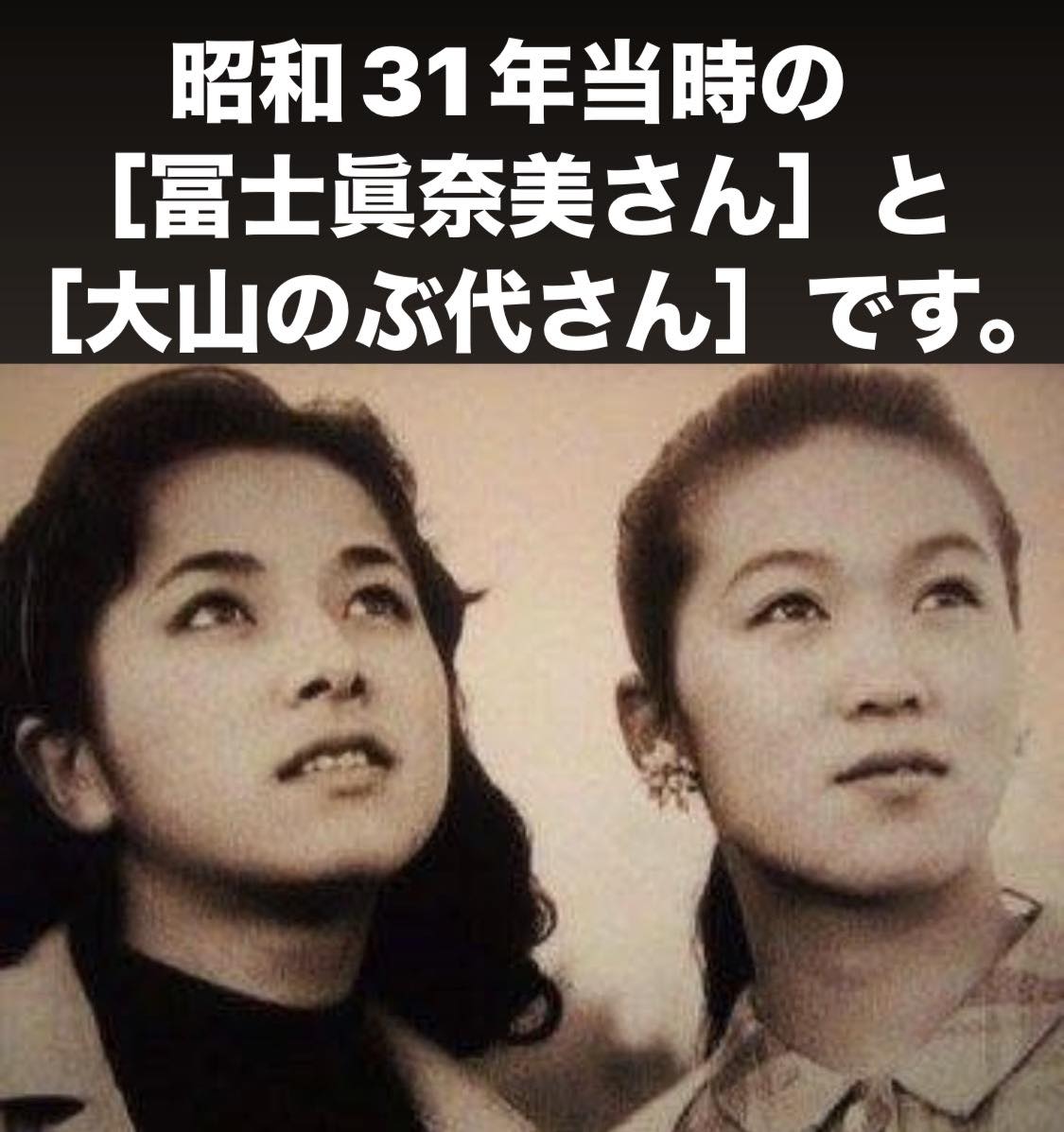 活動歴および当時の関連ビジュアル記録