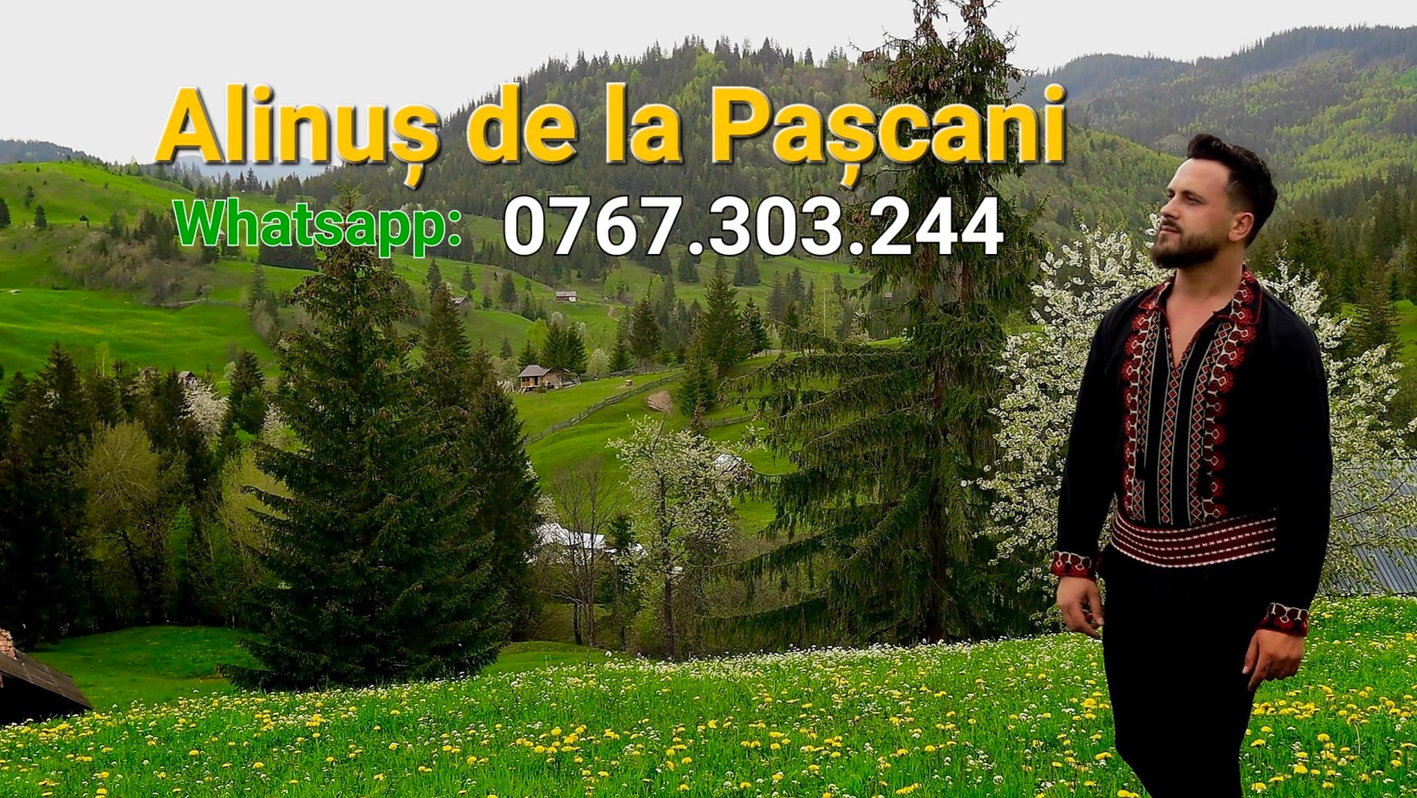 Alinus de la Pascani | Pascani