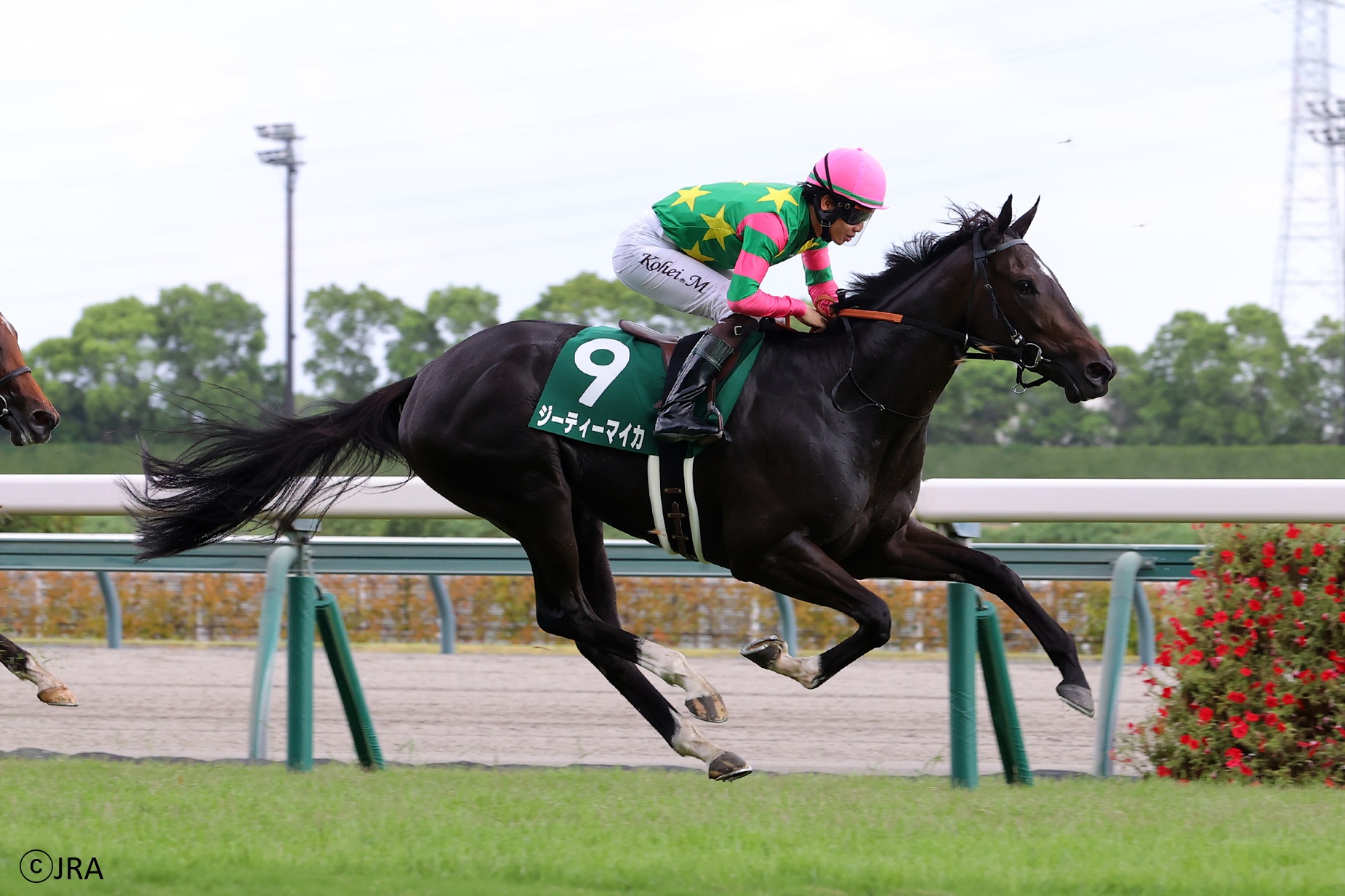 JRA（日本中央競馬会） - 1998年の毎日王冠を制したのは