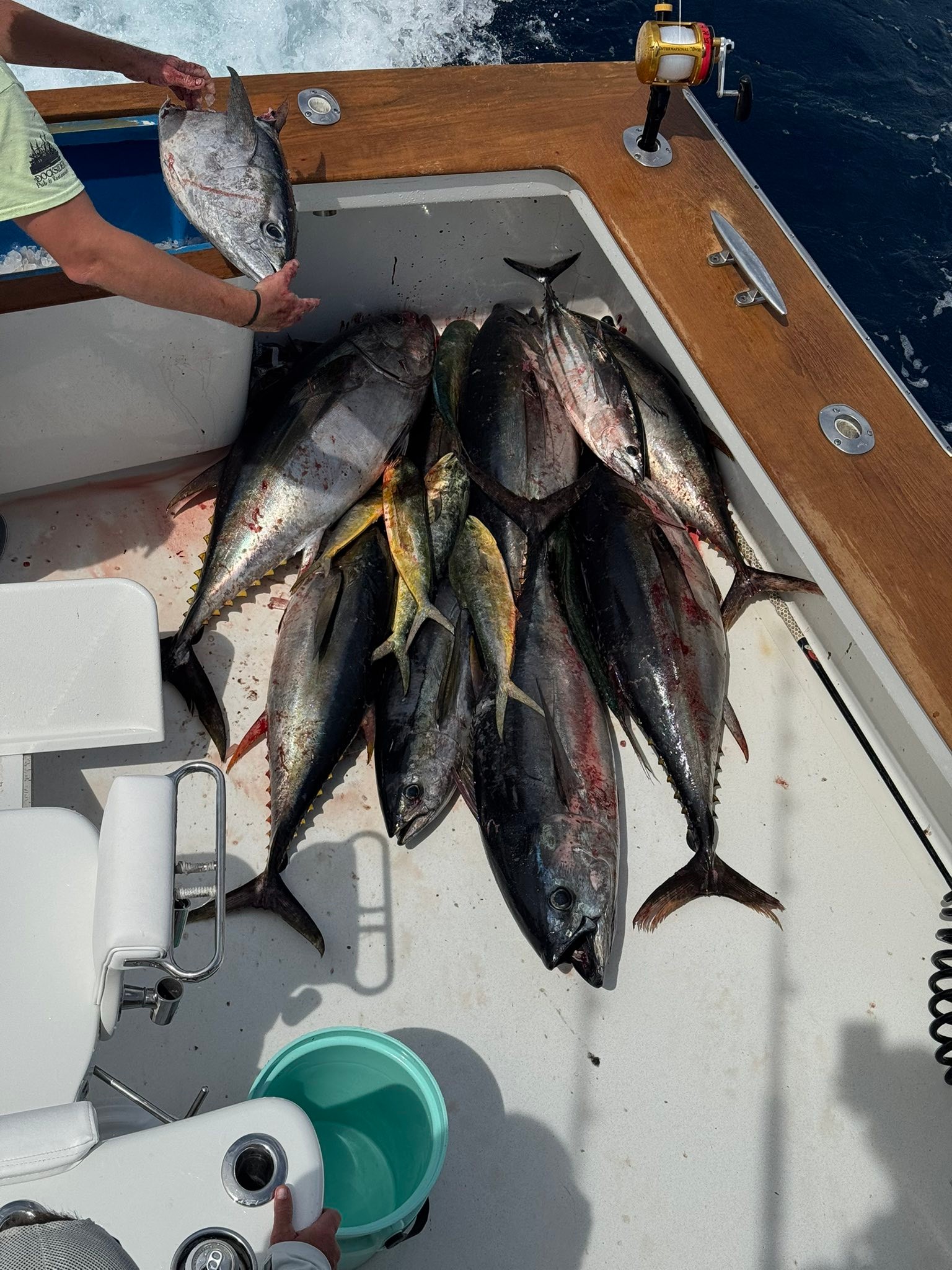 Qualifier Charters | Manteo NC
