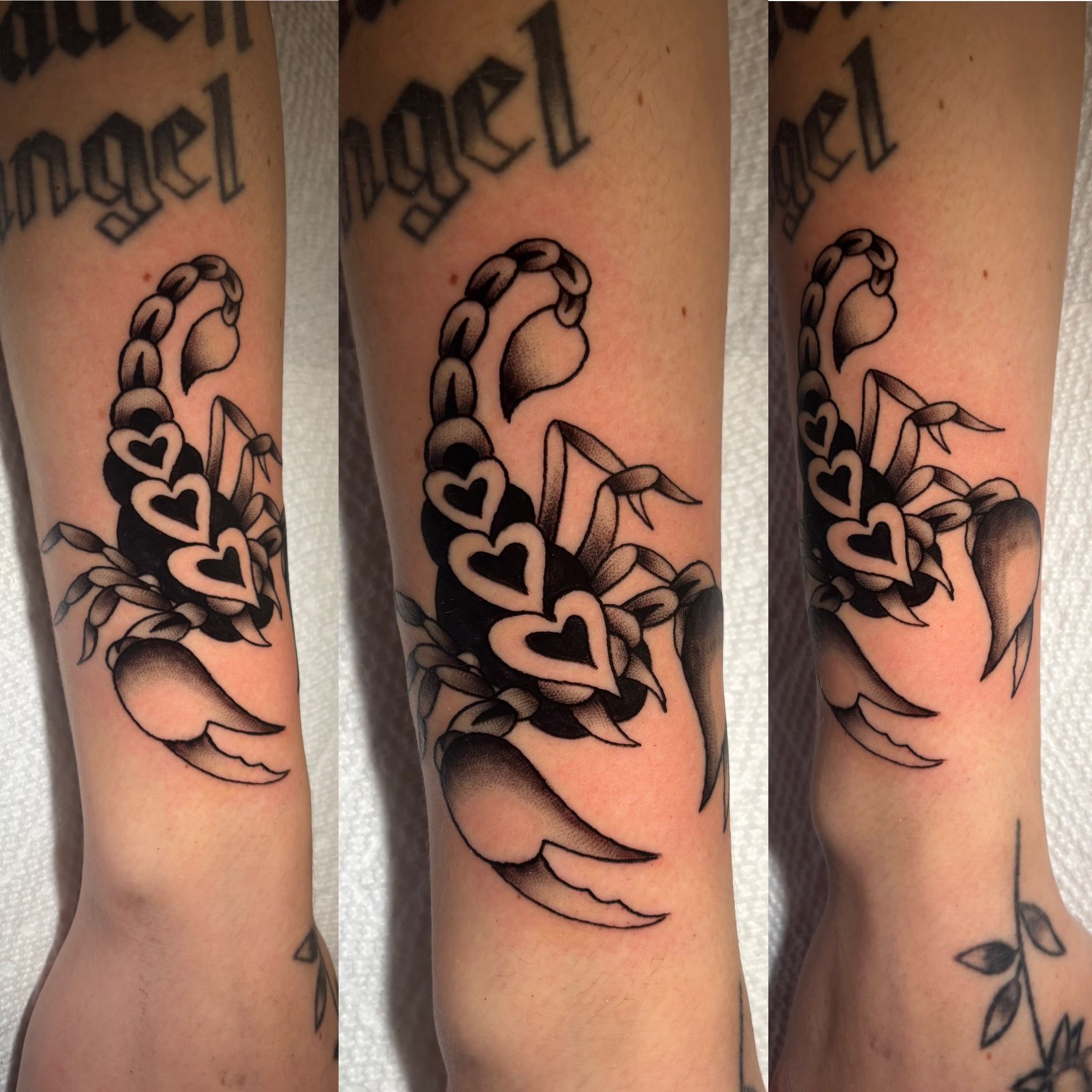 Heart scorpion done by Josh Risley