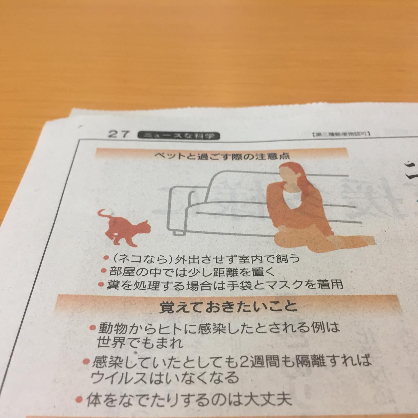 Nekouta制作 ねこうたせうさく ल नय फ ट Nekouta制作 ねこうたせうさく