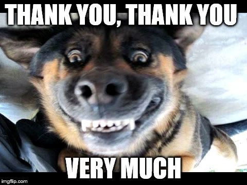Ada Grooming Thank You So Much For All The Bookings Calls Shares Im Looking Forward To Meeting Everyone Being Able To Help Care For Your Furbabies Its