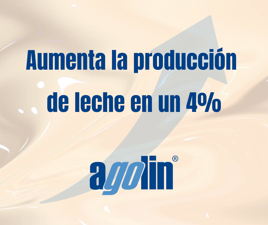 Agolin Colombia | Bogotá