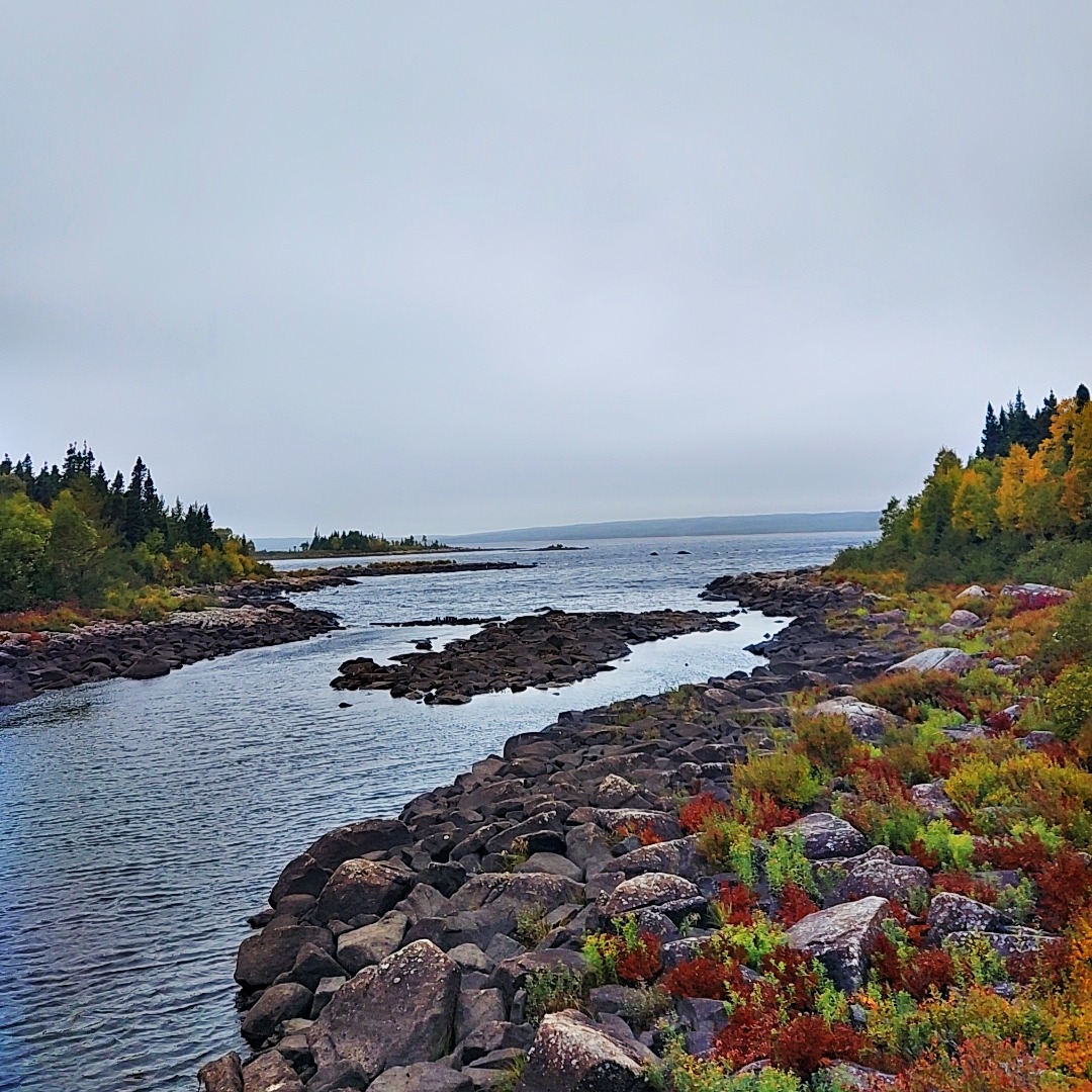 visitnewfoundlandlabrador | When Newfoundland dresses in gold and ...