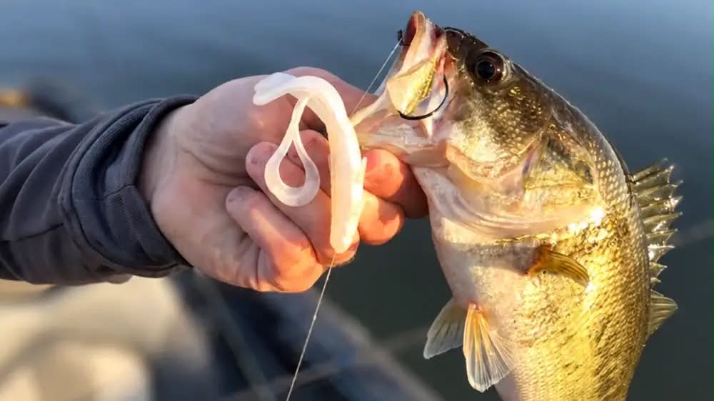 best bass tips secrets of successful lure fishing steve price Lakes and Reservoirs, Lures and Techniques for Stillwater Bass! (Ultimate Fishing Library): Wade Bourne: 9781890280093 Books Bass Fishing Tips Boxed Set: