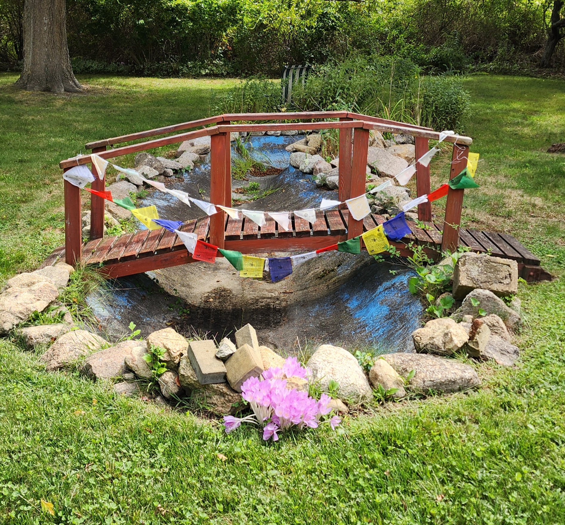 Compass Rose Center | Marstons Mills MA