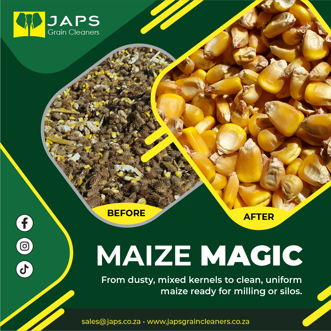 Just - Maize full of dust and mixed kernels? JAPS machines turn it into ...