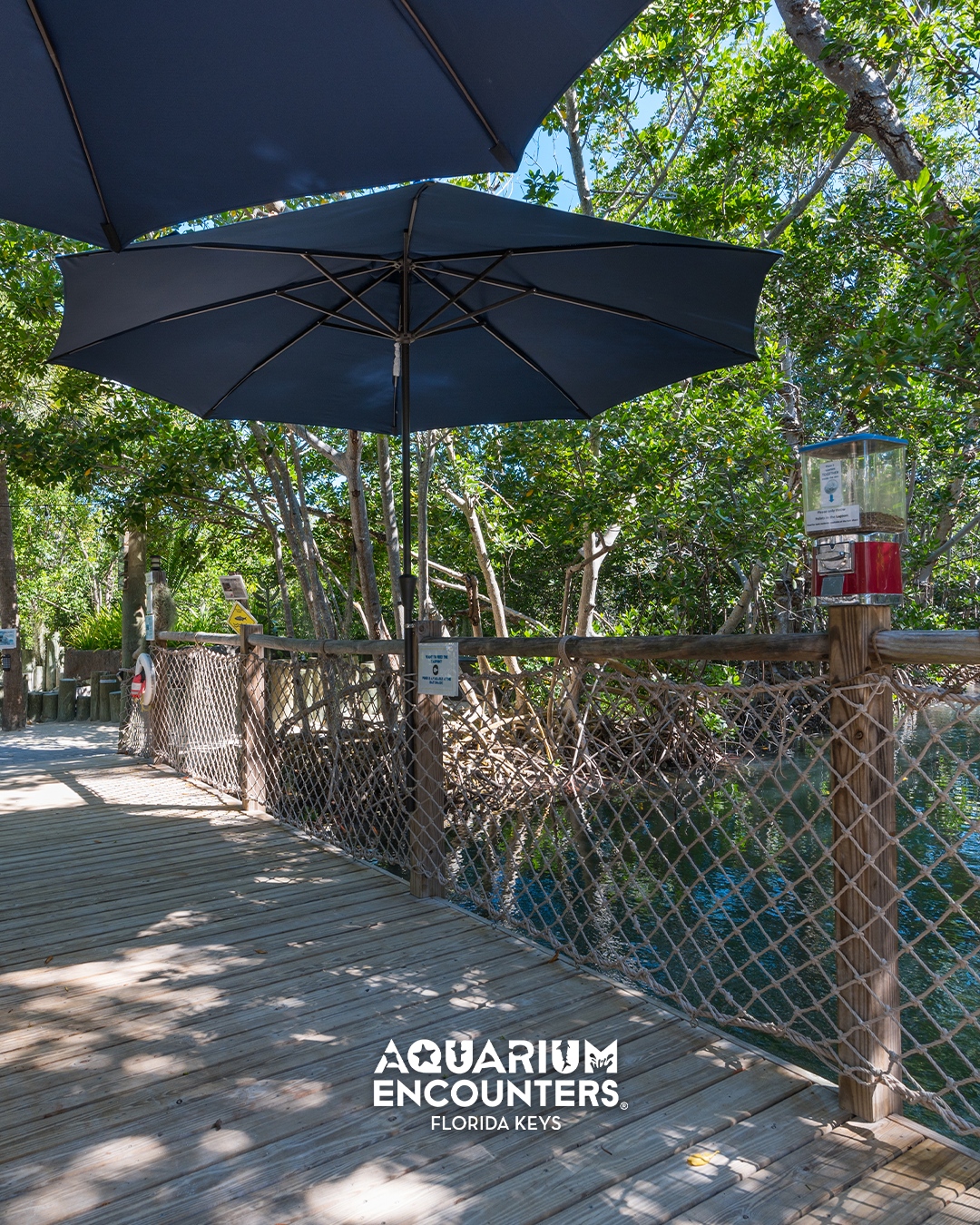 florida gator patio umbrella Mojia Cantilever with Cross Base and Cover Included Florida gators ncaa 62 inch double canopy umbrella this 62in double Patioslife Aegis 10ft Round Cantilever