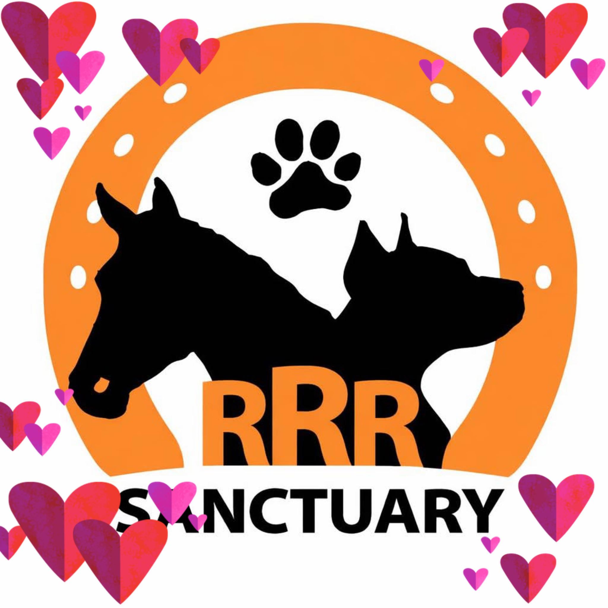RRR Sanctuary - Rodeo is getting nervous about getting... | Facebook