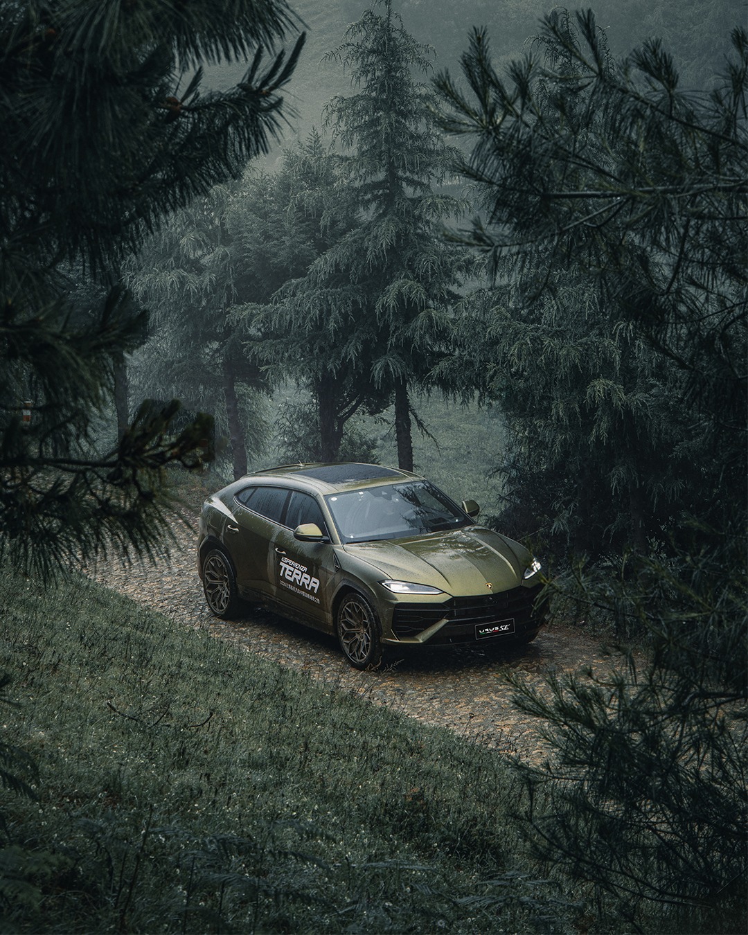 Lamborghini - Putting excellence into perspective. Discover the