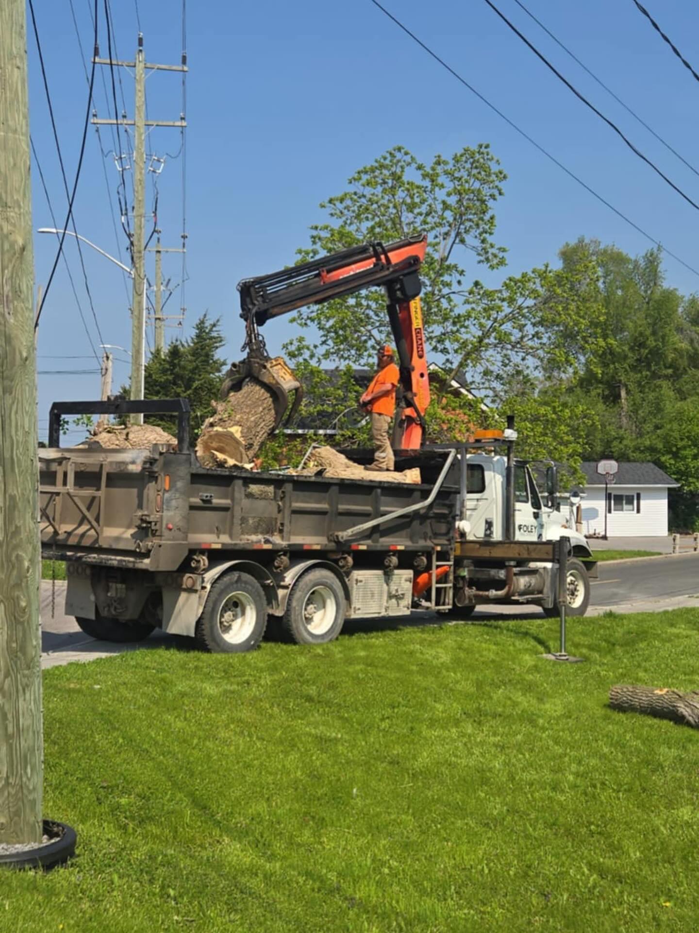 Foley Tree Service